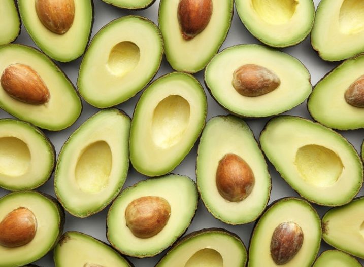 Warehouse Leased by Avocado Corporation: An Acre of Avocados: Houston