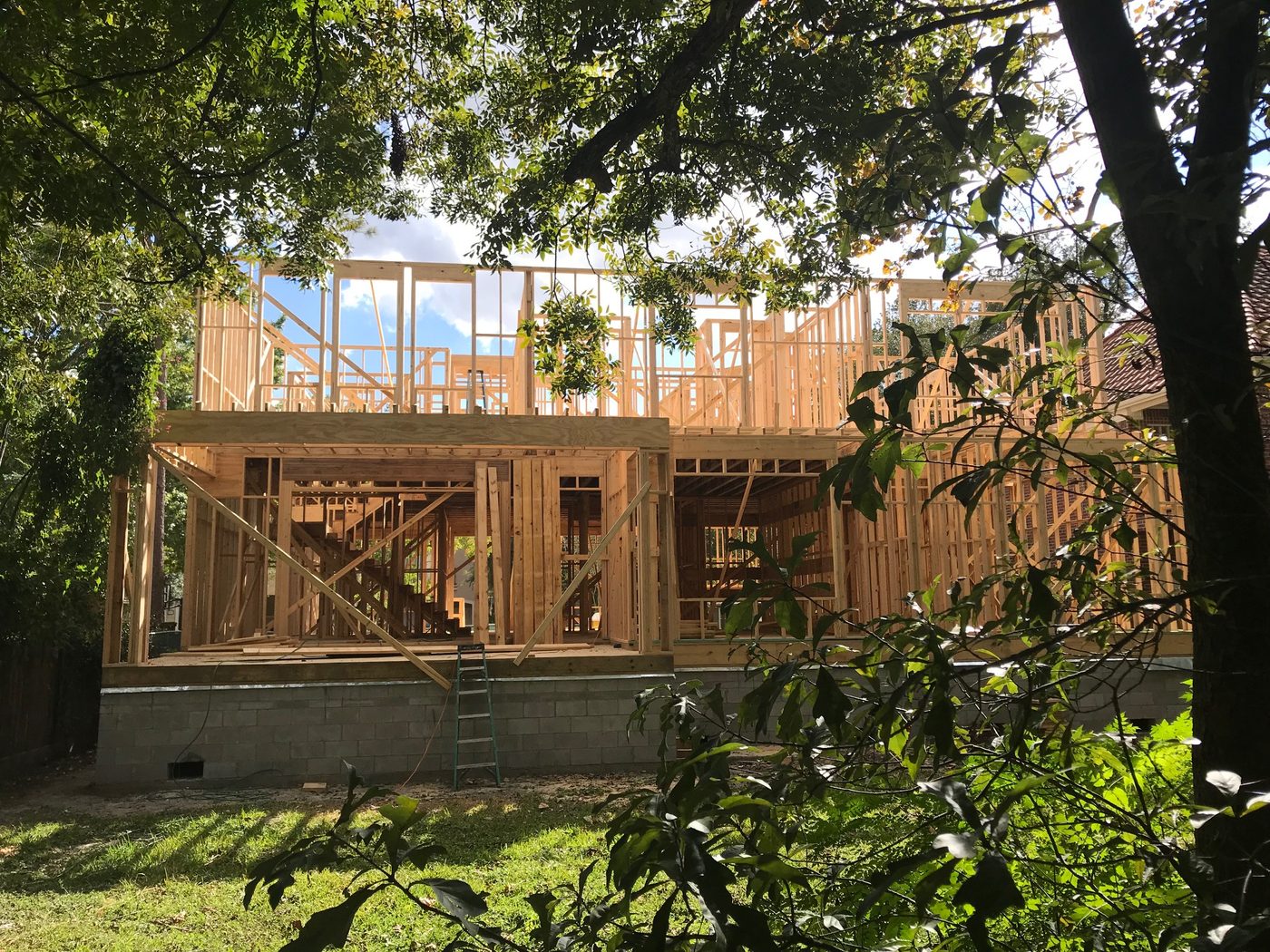 Bury the Hatchet: Don’t Clear-Cut Urban Tree Canopy