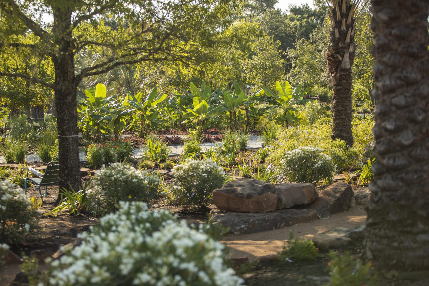 Houston Botanic Garden Opens