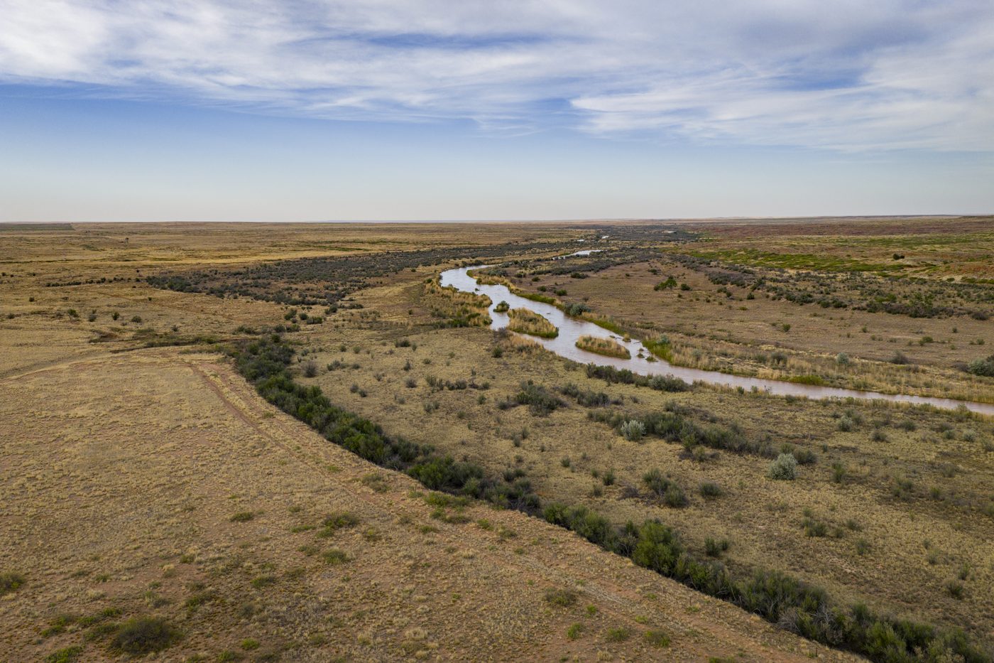 Mega Ranch Hits New Mexico Market