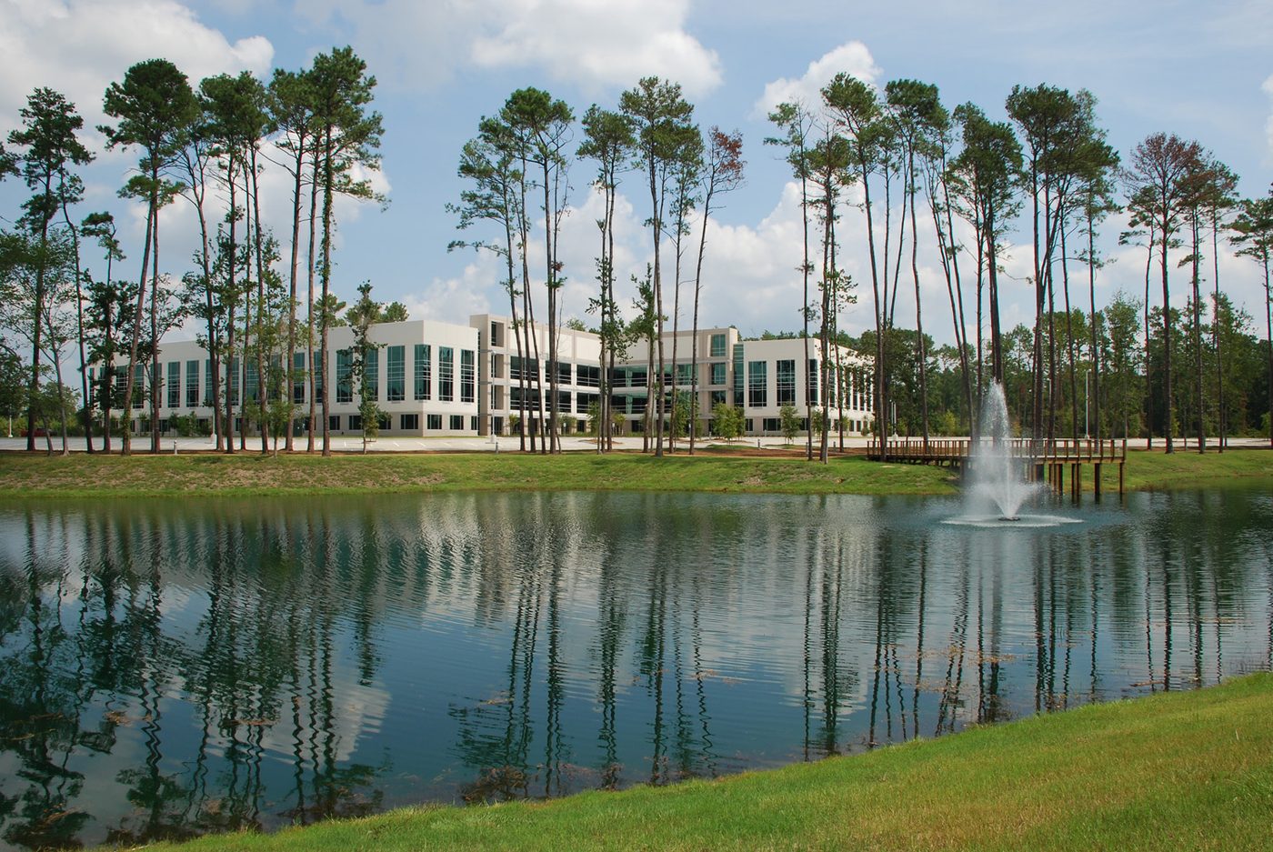 Positive Absorption in The Woodlands: Big Lease Signed