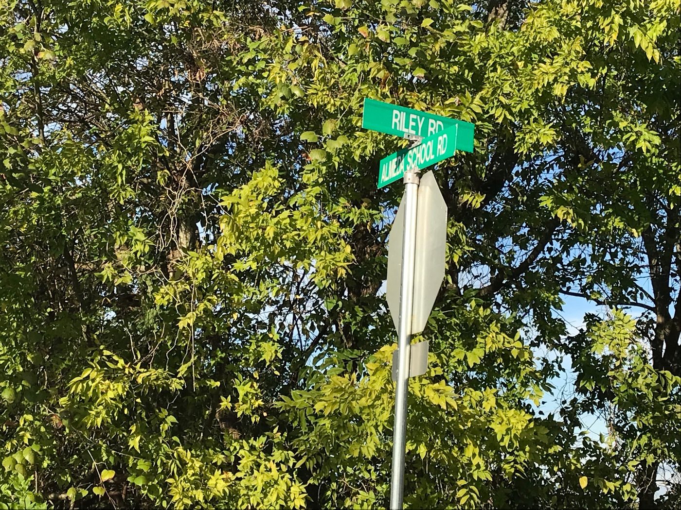 Project Planned in Pearland