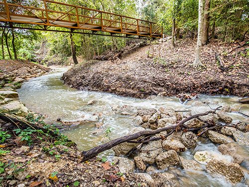 Landscape Planning: Proof that Houston is not Flat: a Knockout Redesign and Achievement