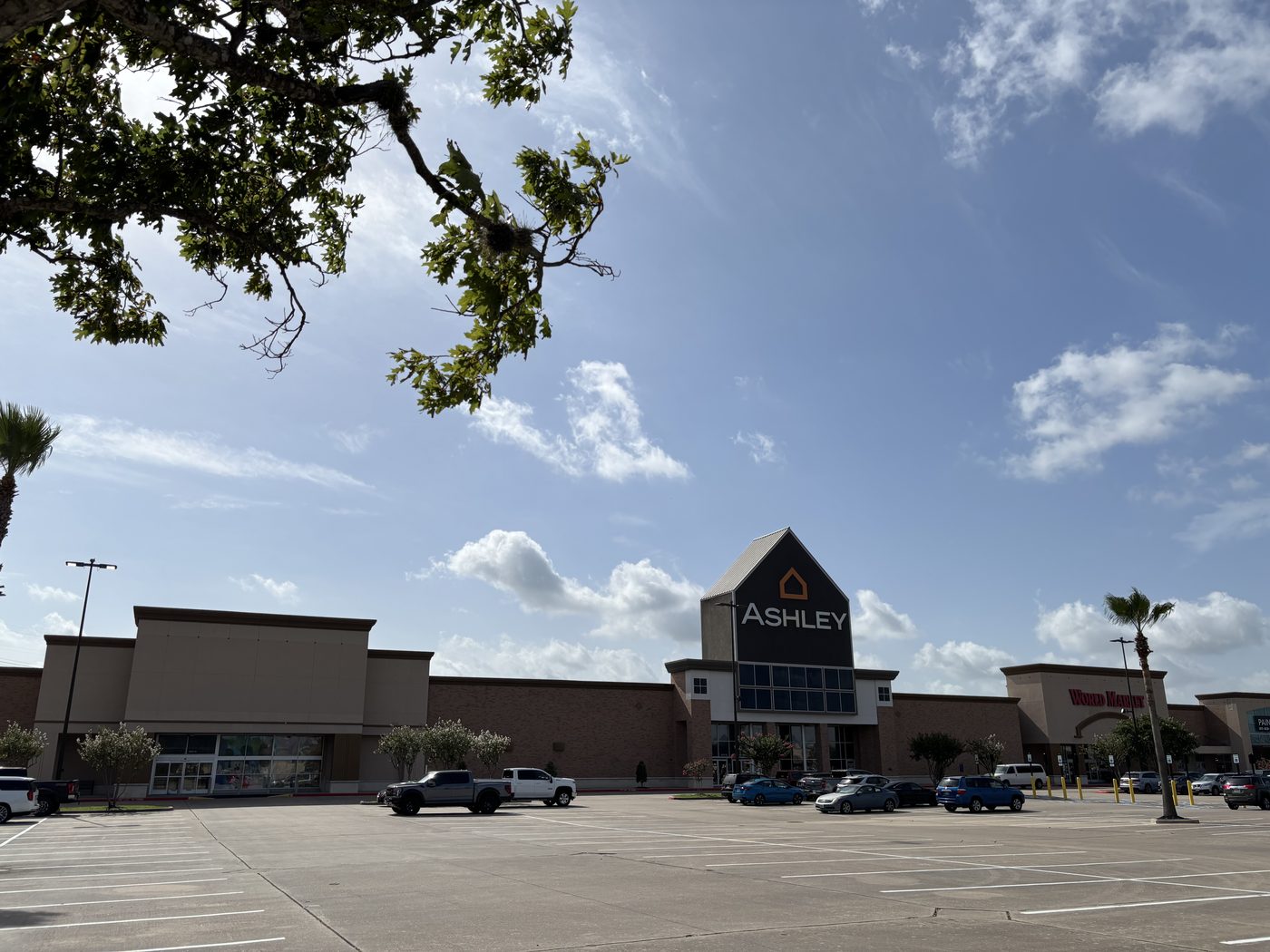 Sprouting Up - Grocer Adding New Stores