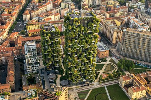 The Urban Forestry Solution