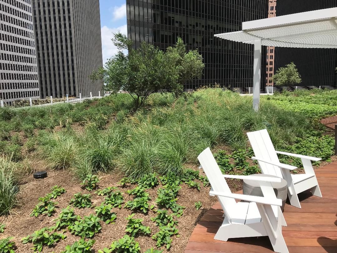 The World: LEED Platinum: With Rainwater Collection and Rooftop Garden, New Houston Skyscraper Ranked as One of Most Sustainable Towers