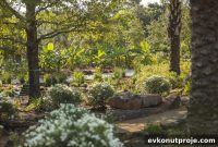 Houston Botanic Garden Opens New Southeast Side Campus