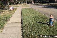 Houston Home Sales Hit Record Highs: Market Report & Trends