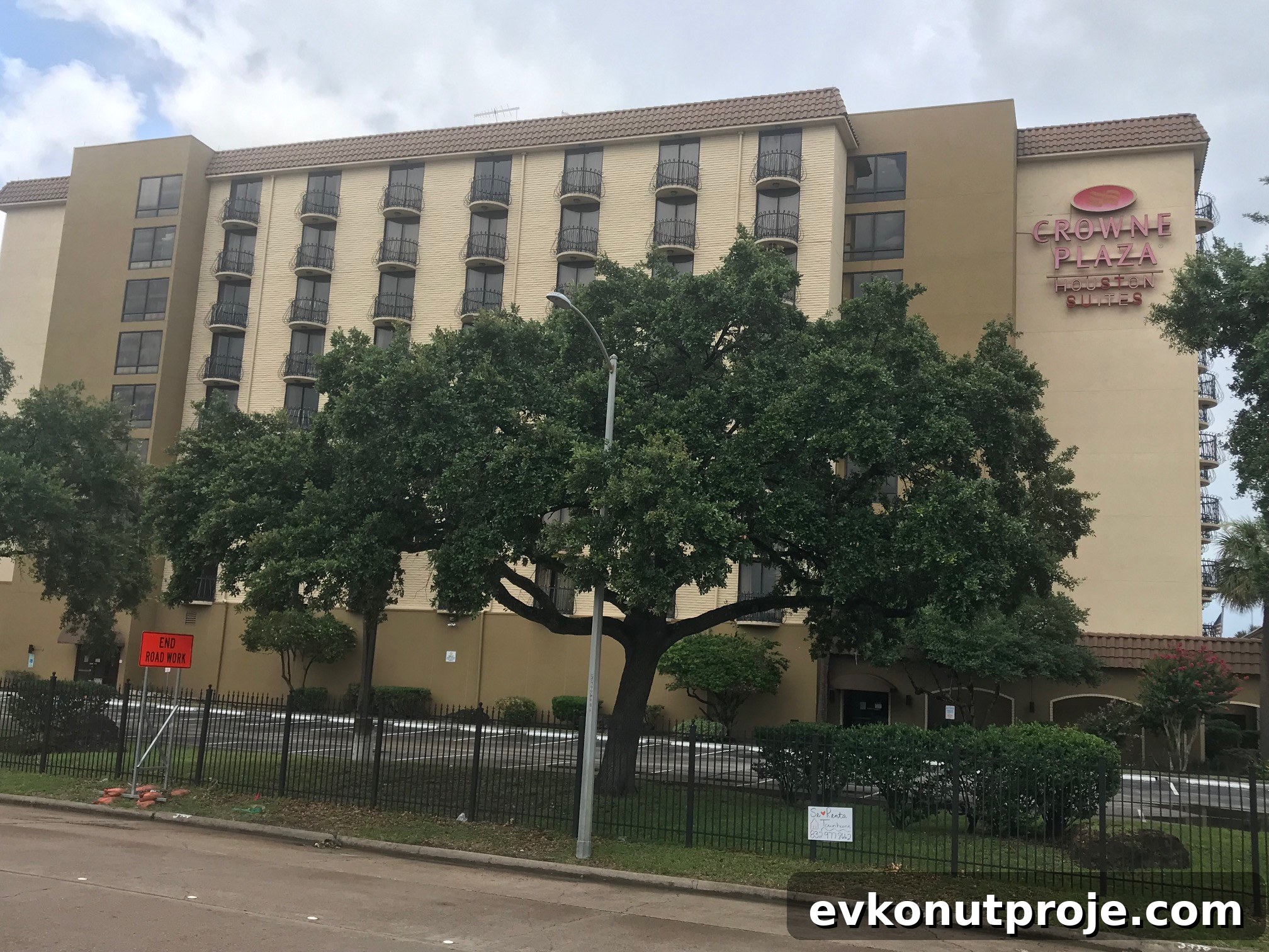 featured 20431