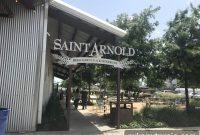 Houston Brewery Boom: How Craft Beer Fans Sparked the Surge