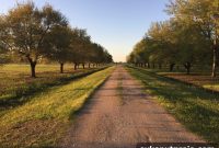 950 New Homes Planned in Major Pearland Development