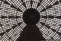 Discover Houston’s Heart: Explore the City Beneath This Roof