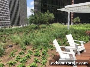 img 11298 1