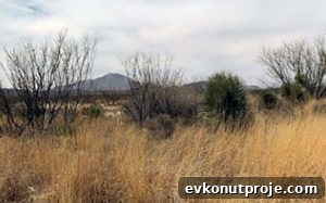 img 18879 1