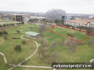 img 18890 1