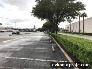 img 18924 1
